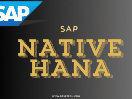 SAP Native HANA